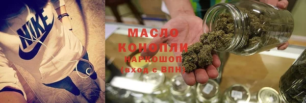 сатива Волоколамск