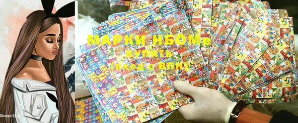 гашик Вяземский
