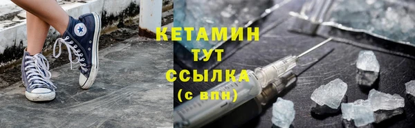 сатива Волоколамск