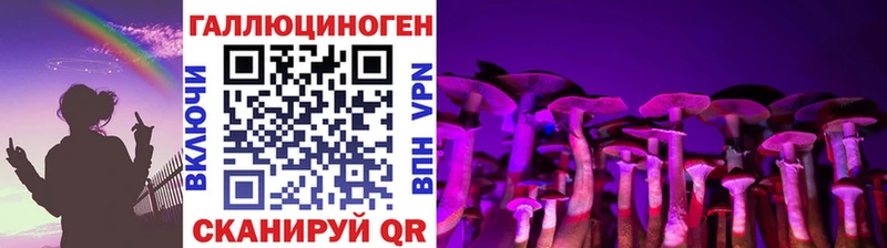 Псилоцибиновые грибы Psilocybe darknet как зайти mega рабочий сайт Темрюк где найти наркотики