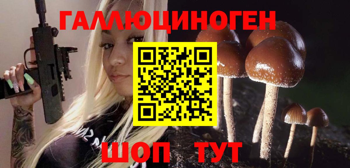 купить   Галлюциногенные грибы GOLDEN TEACHER  Вход с VPN  Темрюк 